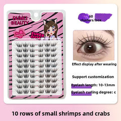 False Eyelashes Variety Pack with Glue