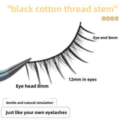 False Eyelashes