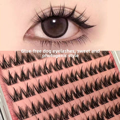 Glue-Free False Eyelashes Natural Look Dog Style
