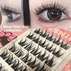 Glue-Free False Eyelashes Natural Look Dog Style