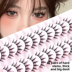 False Eyelashes 10 Pairs Natural Look