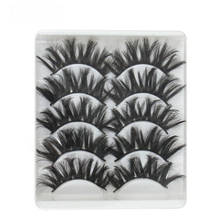 5 pairs of eyelashes