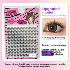 False Eyelashes Variety Pack with Glue