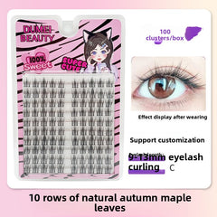 False Eyelashes Variety Pack with Glue