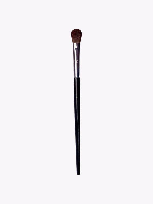 Eyeshadow Blush Brush Easy And Portable Multi-Functional Makeup Brush