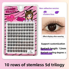 False Eyelashes Variety Pack with Glue