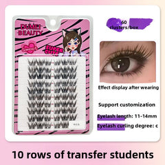 False Eyelashes Variety Pack with Glue